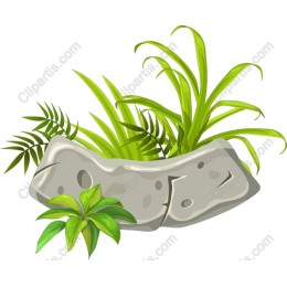 Lush Green Plants and Stone