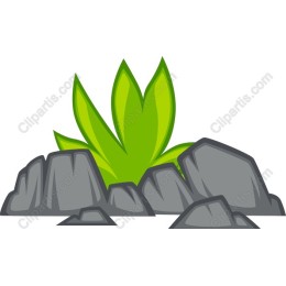 Nature-Inspired Green Leaves and Rocks