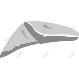 Stylish Rock