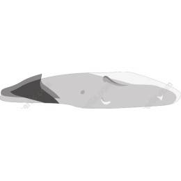 Whale in and