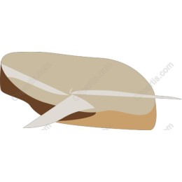 Elegant Cake Slice