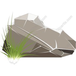 Natural Rock with Grass Accent