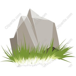 Rock in Grass