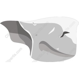 Elegant Abstract Whale