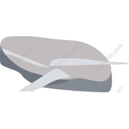 Sleek Stone
