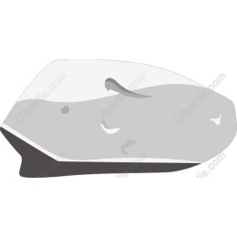 Playful Manatee