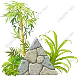 Lush Bamboo and Stone