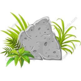 Lush Rock Oasis