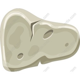 Textured Stone
