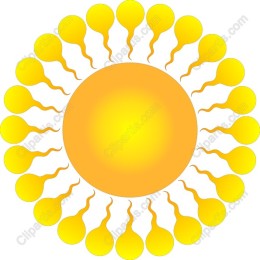 Vibrant Sunburst