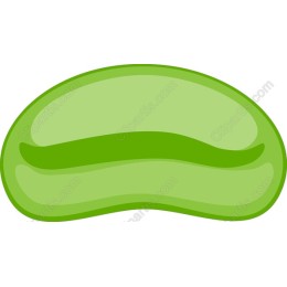 Fresh Green Bean
