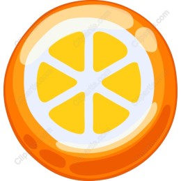Juicy Orange Slice