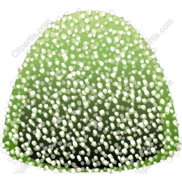 Green Glimmer Abstract