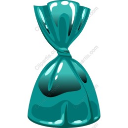 Glossy Teal Bag