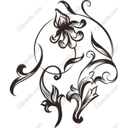 Elegant Floral