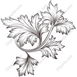 Intricate Leaves Botanical