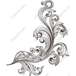 Elegant Ornate Flourish