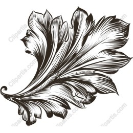 Ornamental Leaf