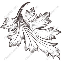 Elegant Leaf