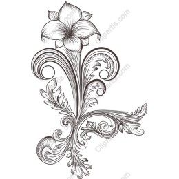 Elegant Floral