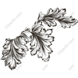 Elegant Floral