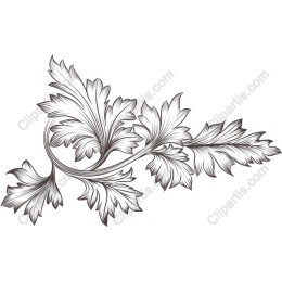 Elegant Leaf