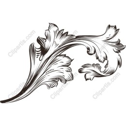 Elegant Ornate Floral