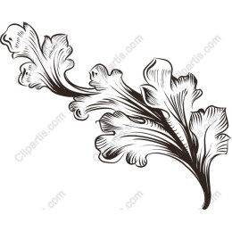 Elegant Ornamental Leaf