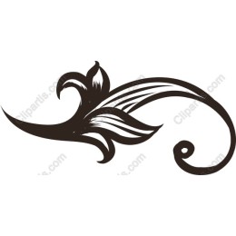 Elegant Floral Swirl