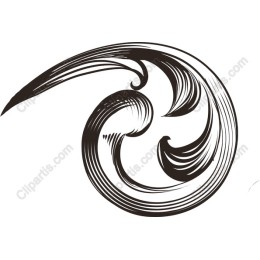 Elegant Swirl