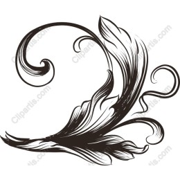 Elegant Floral