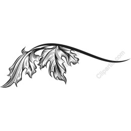Elegant Leaf Flourish