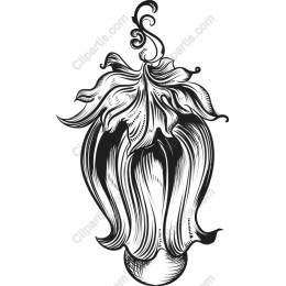 Elegant Bell Flower