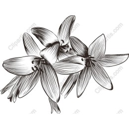 Elegant Floral Composition