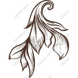 Elegant Floral Ornamental