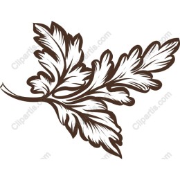 Stylized Leaf