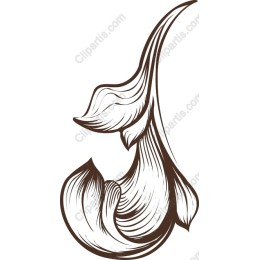Floral Swirl