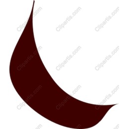Elegant Abstract Curved Shape