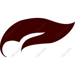 Stylish Feather