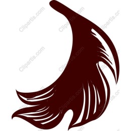 Elegant Feather