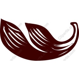 Elegant Stylized Leaf