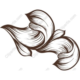 Elegant Flourish