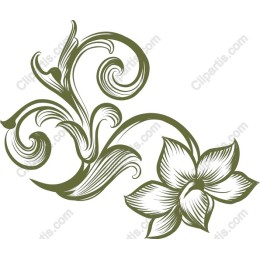 Elegant Floral