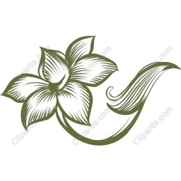 Elegant Floral