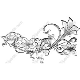 Intricate Floral Line Art