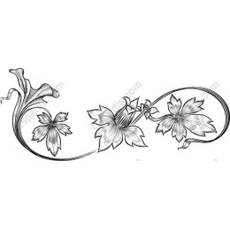 Elegant Floral
