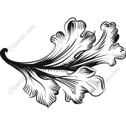 Elegant Leaf