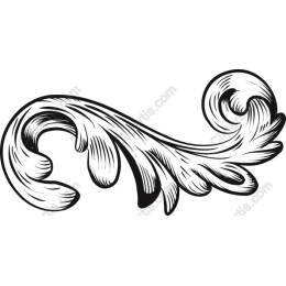 Elegant Ornamental Swirl