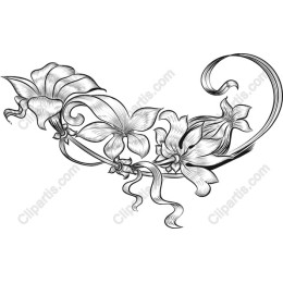 Elegant Floral Swirl