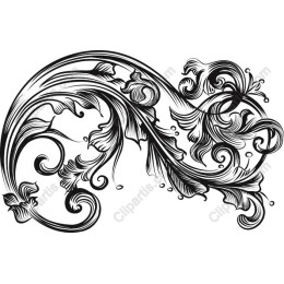 Elegant Black and White Floral